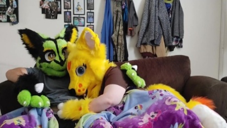 Sexy Furry movie night