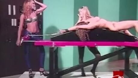 Plastic Jill and Caressa's restraints clip